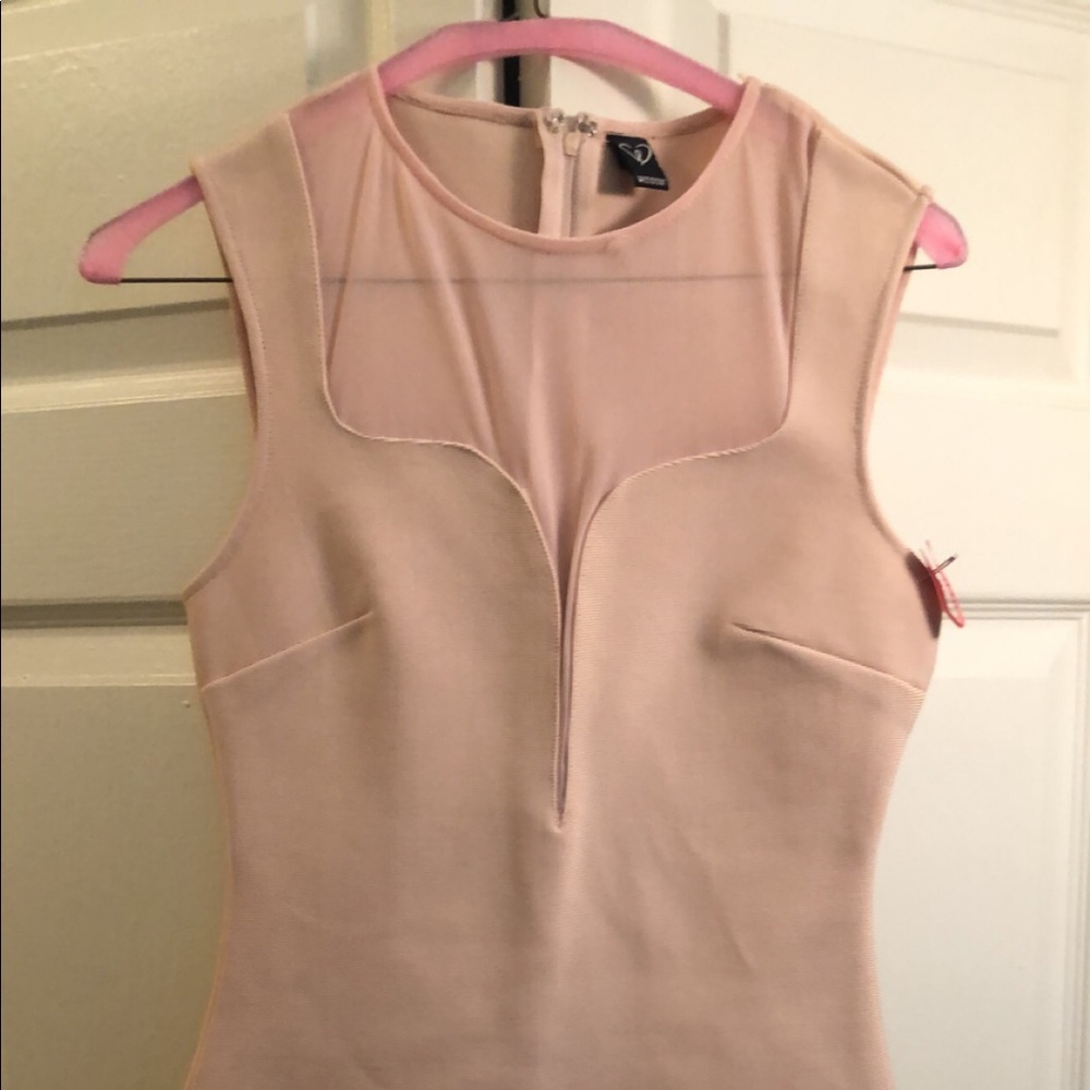 Windsor Pale Pink Body Con Dress